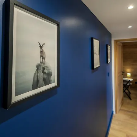 La Casses Bas Appartement *